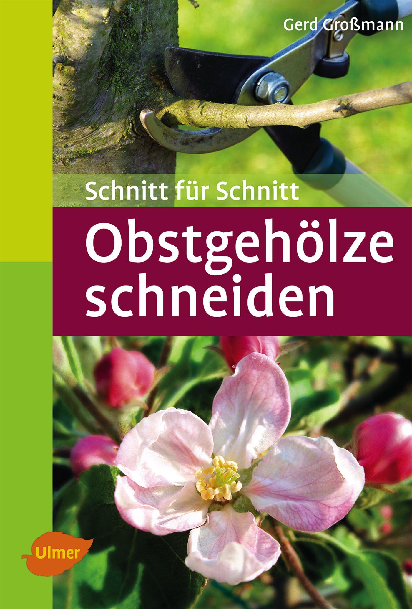 Vorderes Coverbild Obstgehölze schneiden