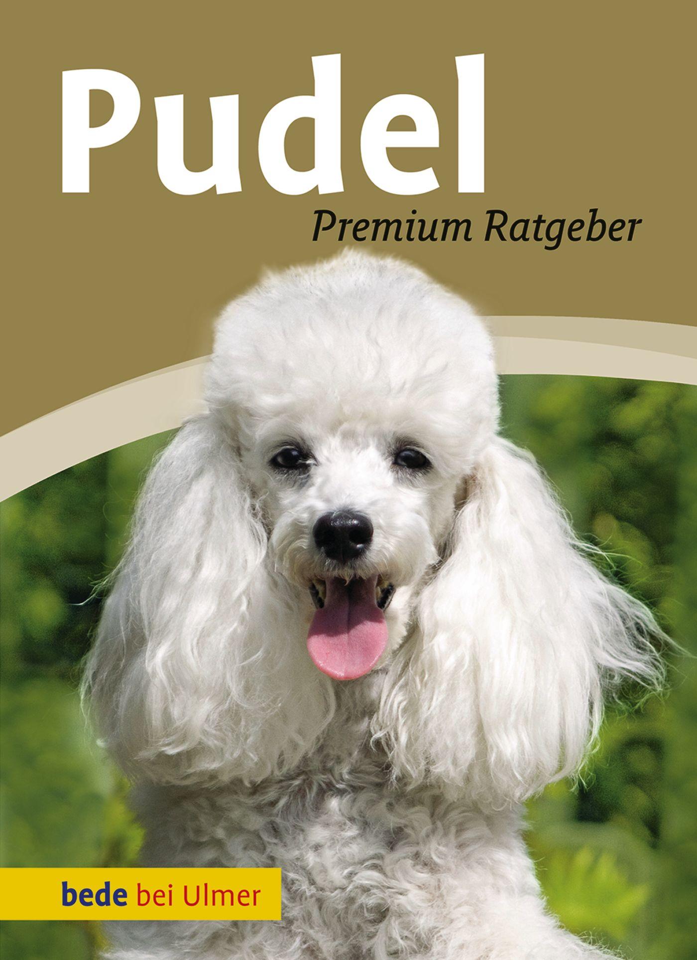 Vorderes Coverbild Pudel