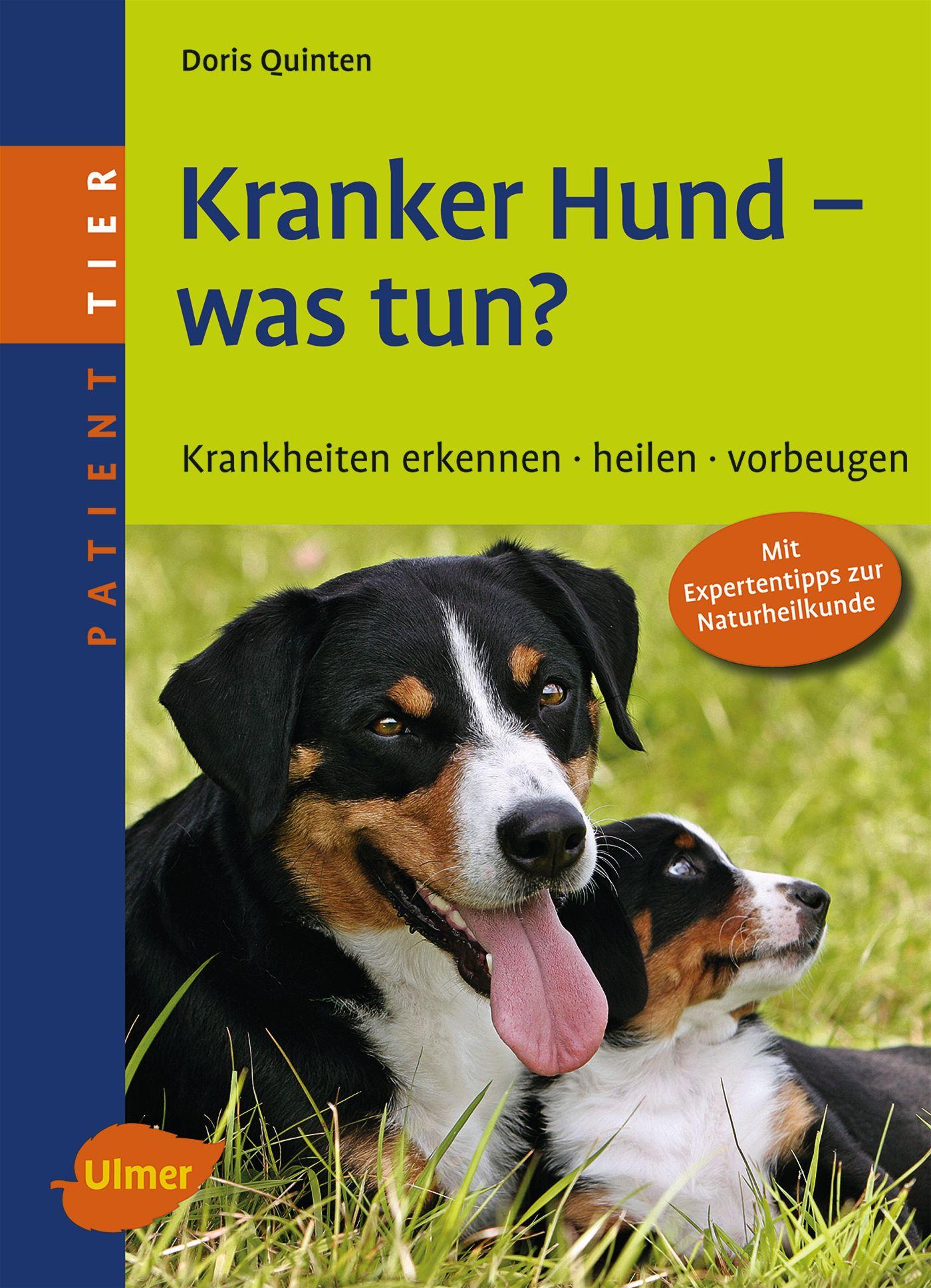 Vorderes Coverbild Kranker Hund - was tun?