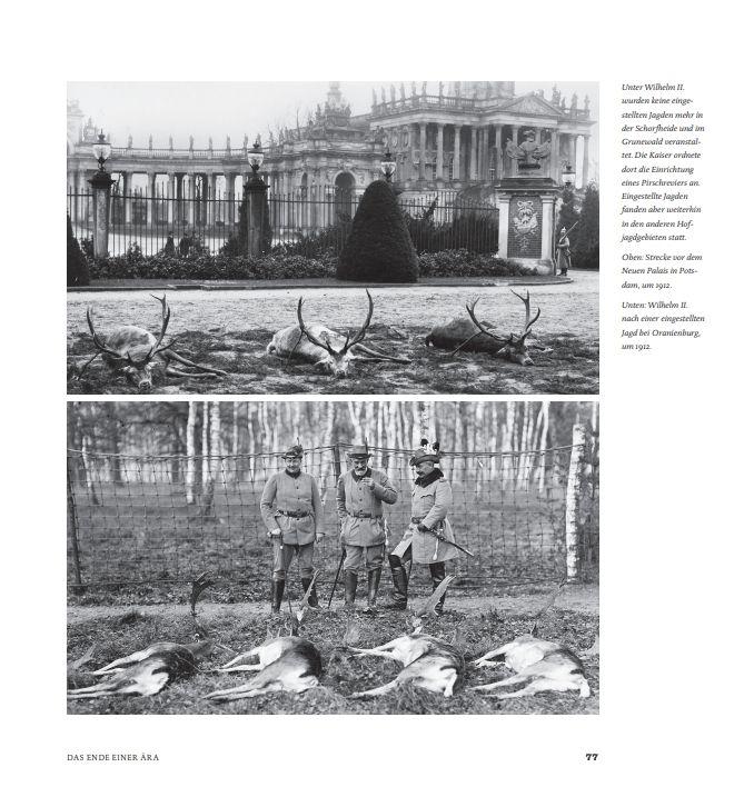 Beispielinhalt (Bild) Jagd und Macht