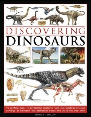 Vorderes Coverbild Discovering Dinosaurs