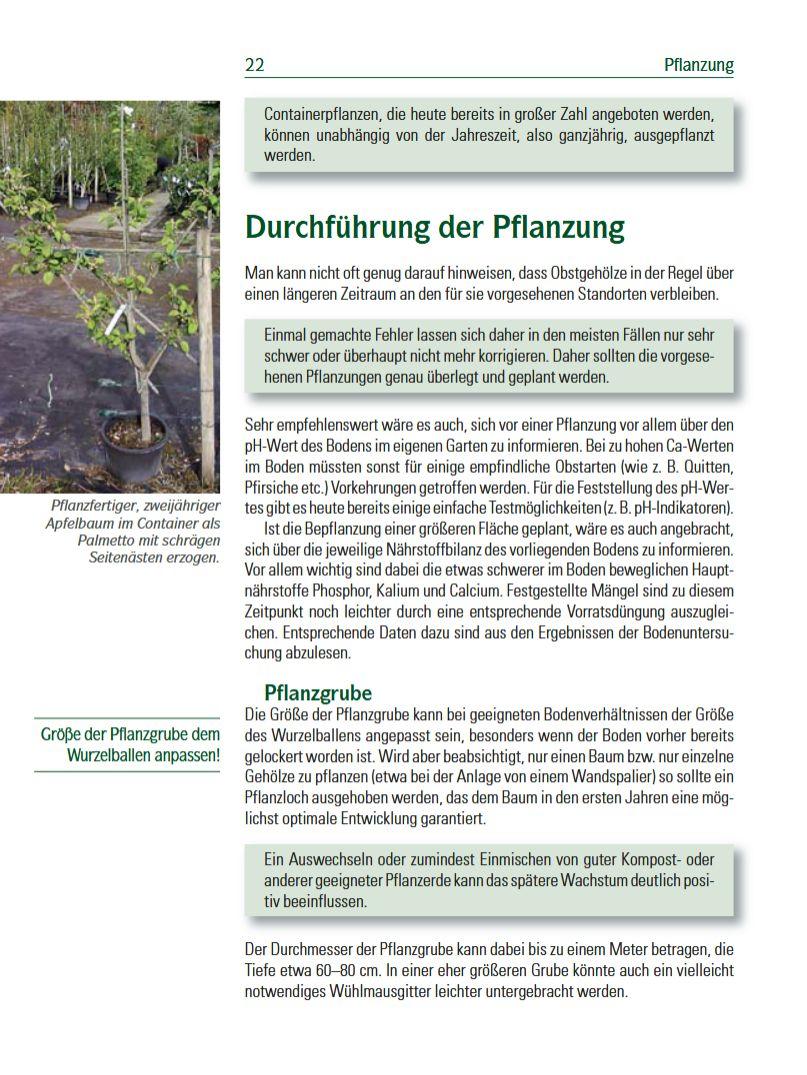 Beispielinhalt (Bild) Spalierobst