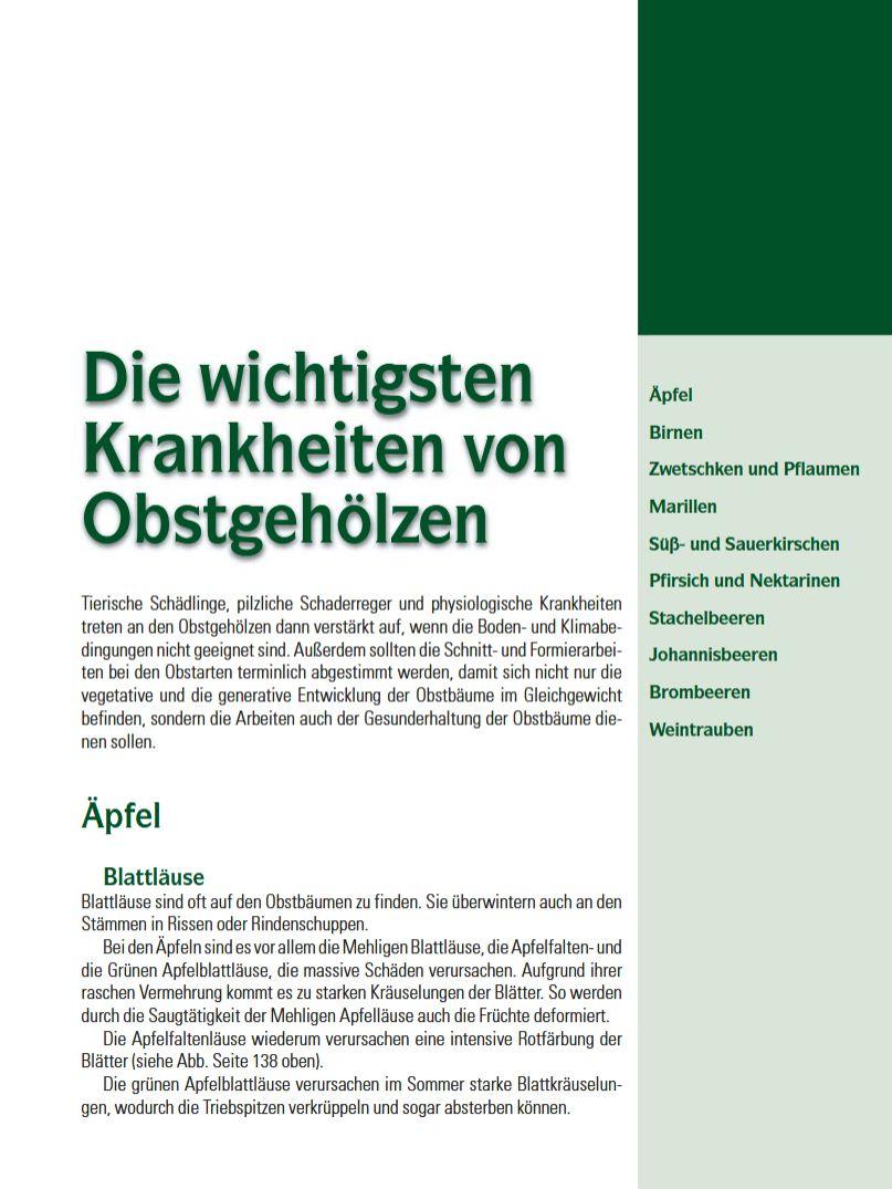 Beispielinhalt (Bild) Spalierobst