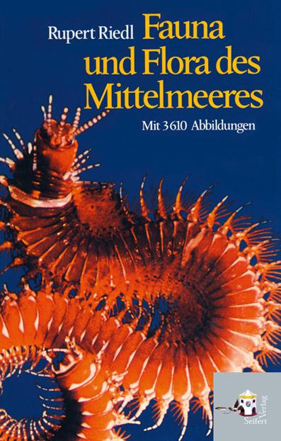 Vorderes Coverbild Fauna und Flora des Mittelmeeres