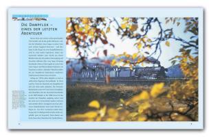 Beispielinhalt (Bild) Dampfloks im Betrieb der DB und DR