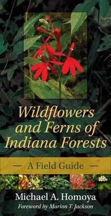 Vorderes Coverbild Wildflowers and Ferns of Indiana Forests