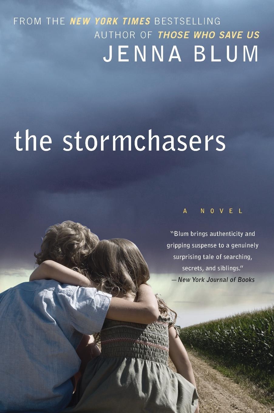 Vorderes Coverbild The Stormchasers