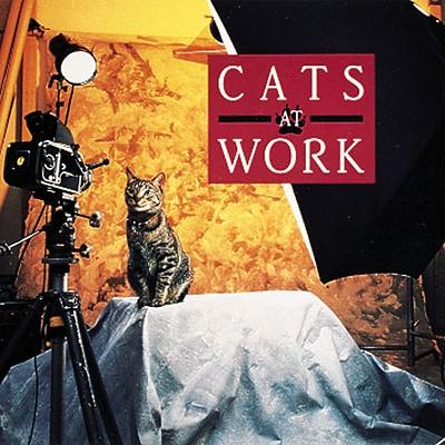 Vorderes Coverbild Cats at Work: My Point of View