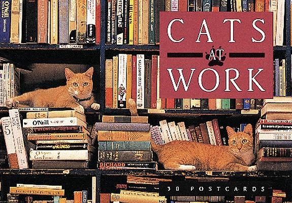 Vorderes Coverbild Cats at Work