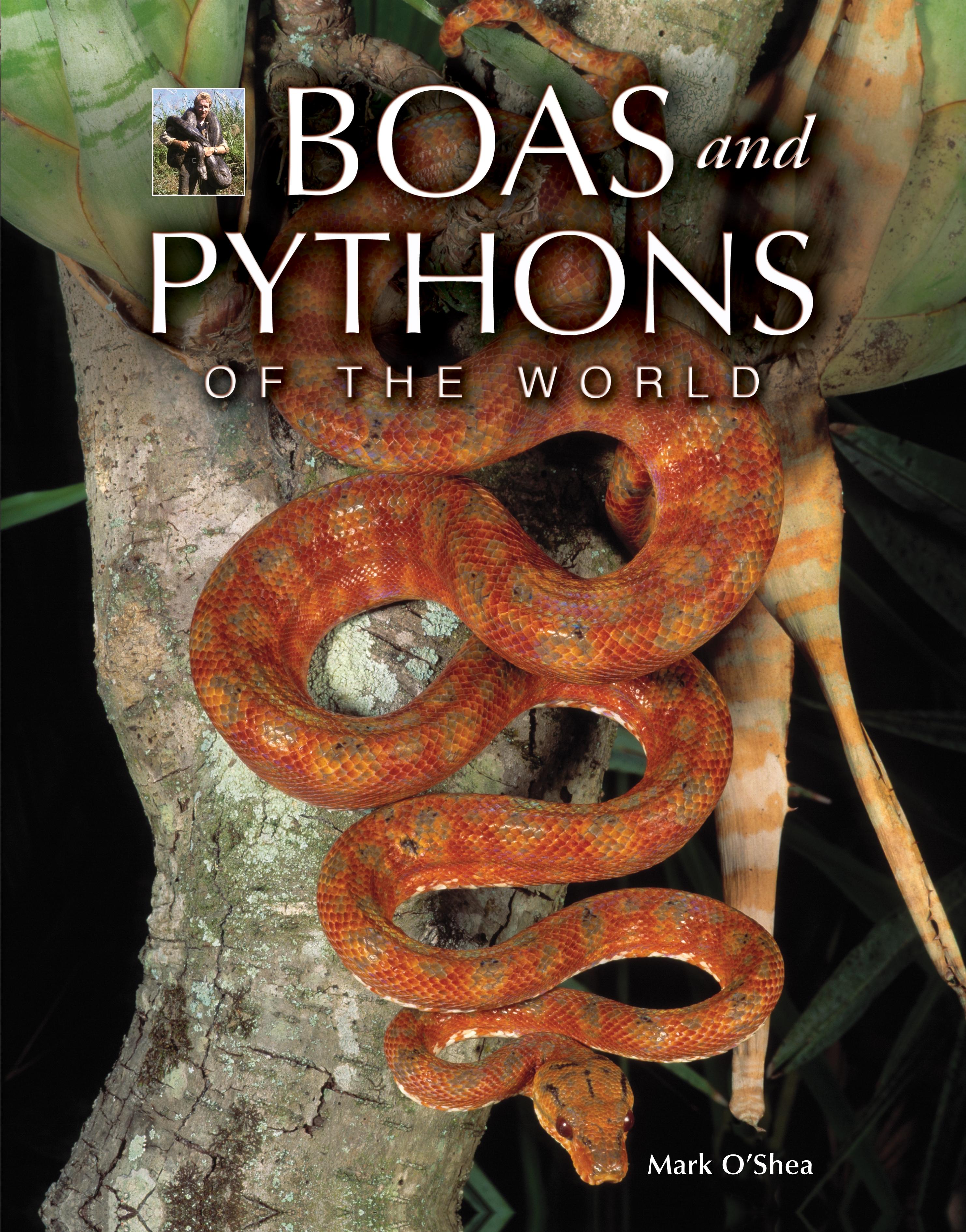 Vorderes Coverbild Boas and Pythons of the World