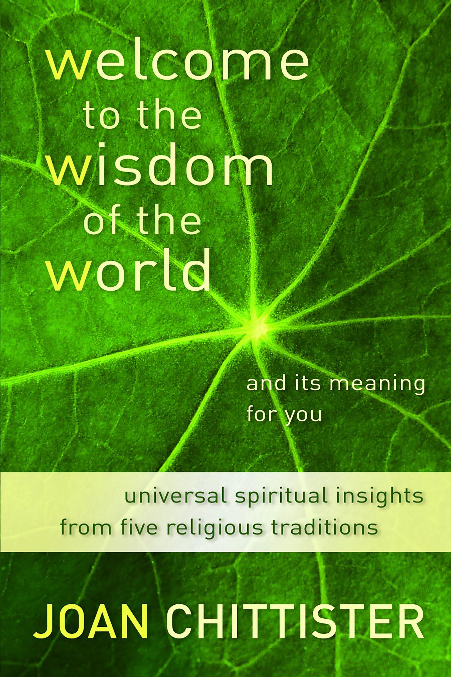 Vorderes Coverbild Welcome to the Wisdom of the World and Its Meaning for You