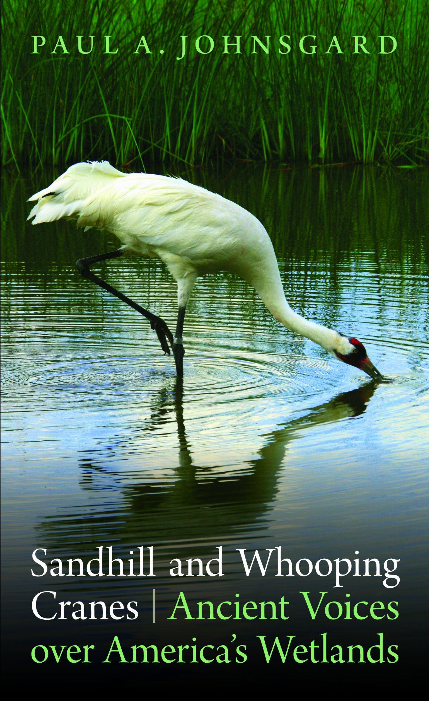 Vorderes Coverbild Sandhill and Whooping Cranes