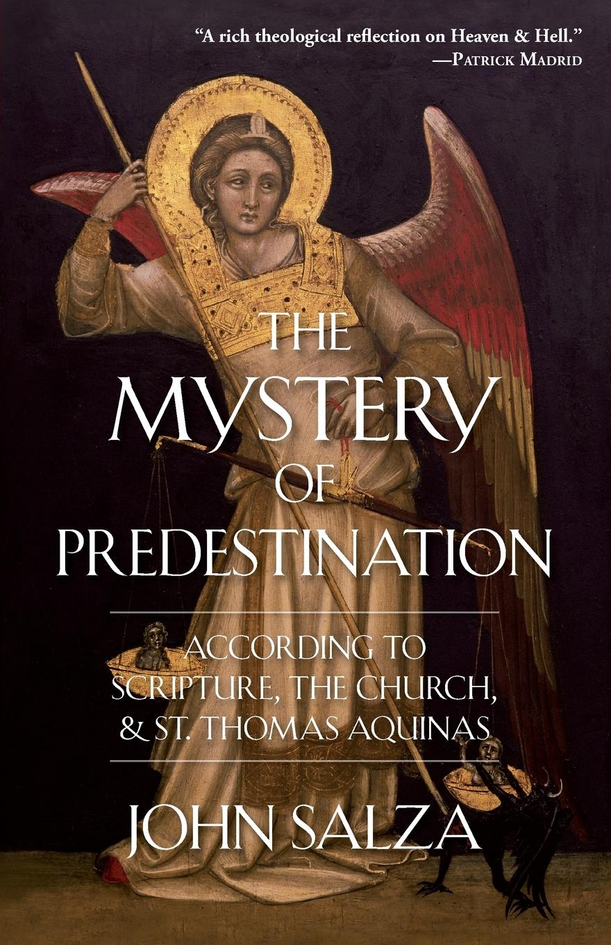 Vorderes Coverbild The Mystery of Predestination