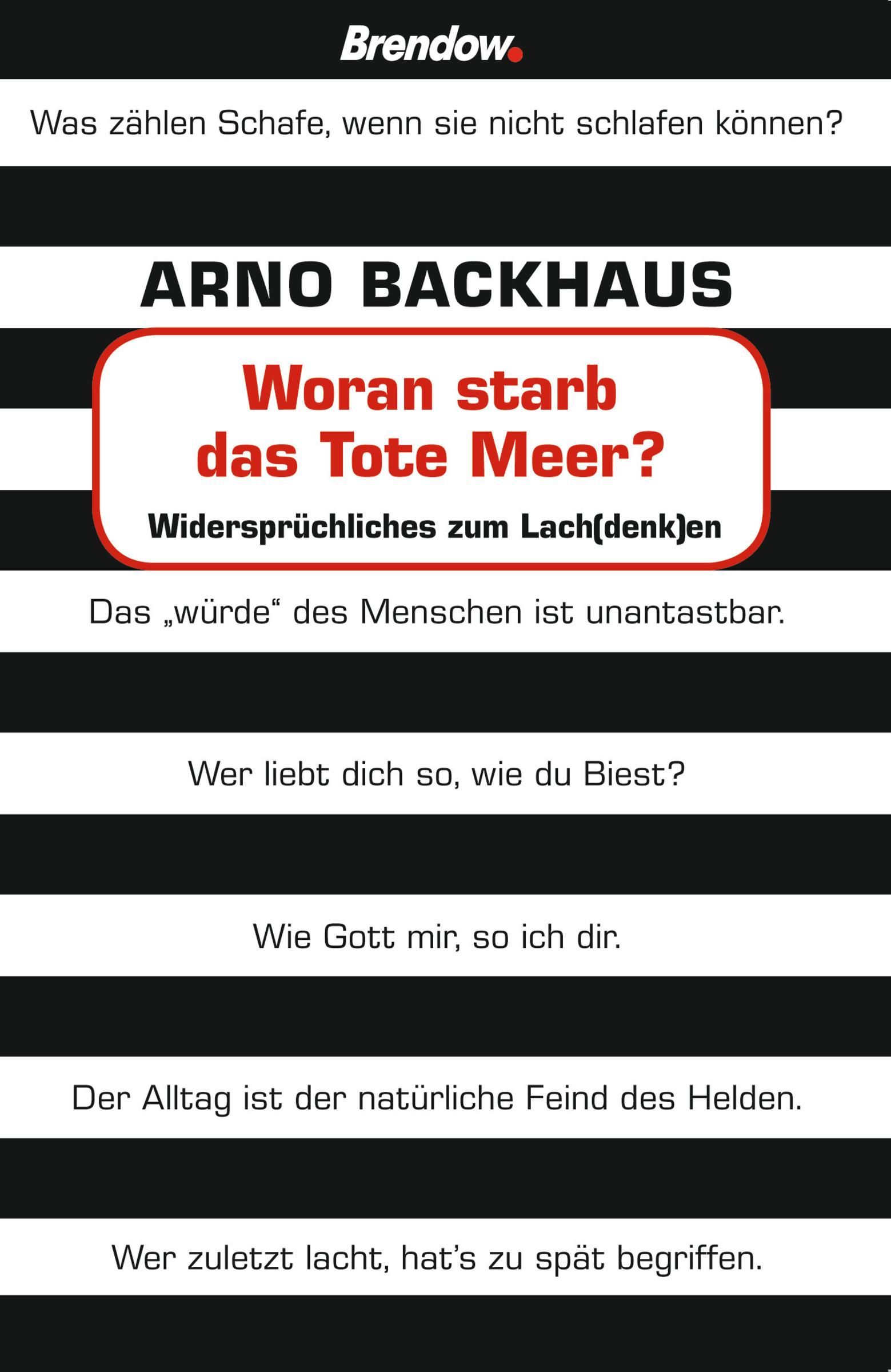 Vorderes Coverbild Woran starb das tote Meer?
