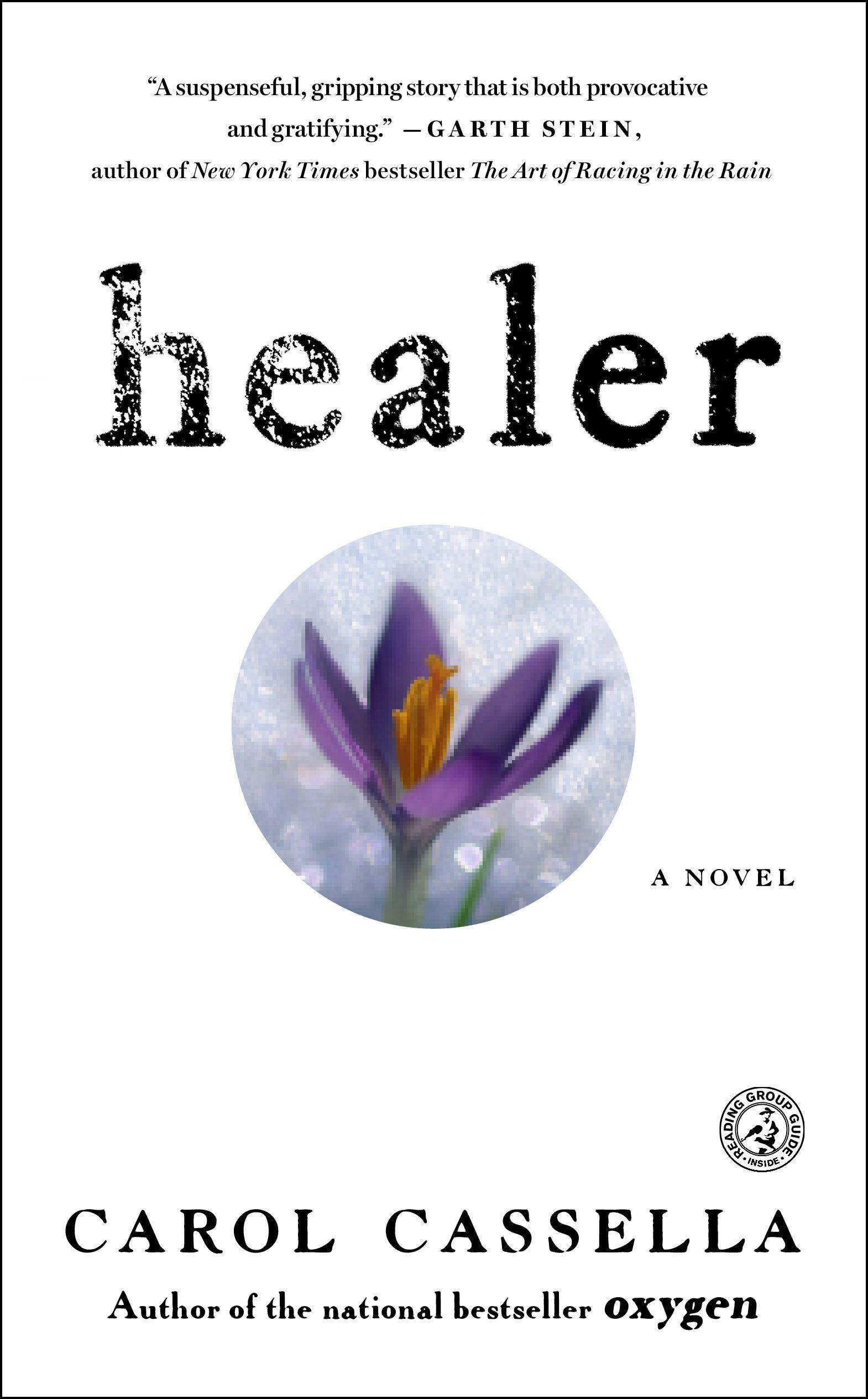 Vorderes Coverbild Healer