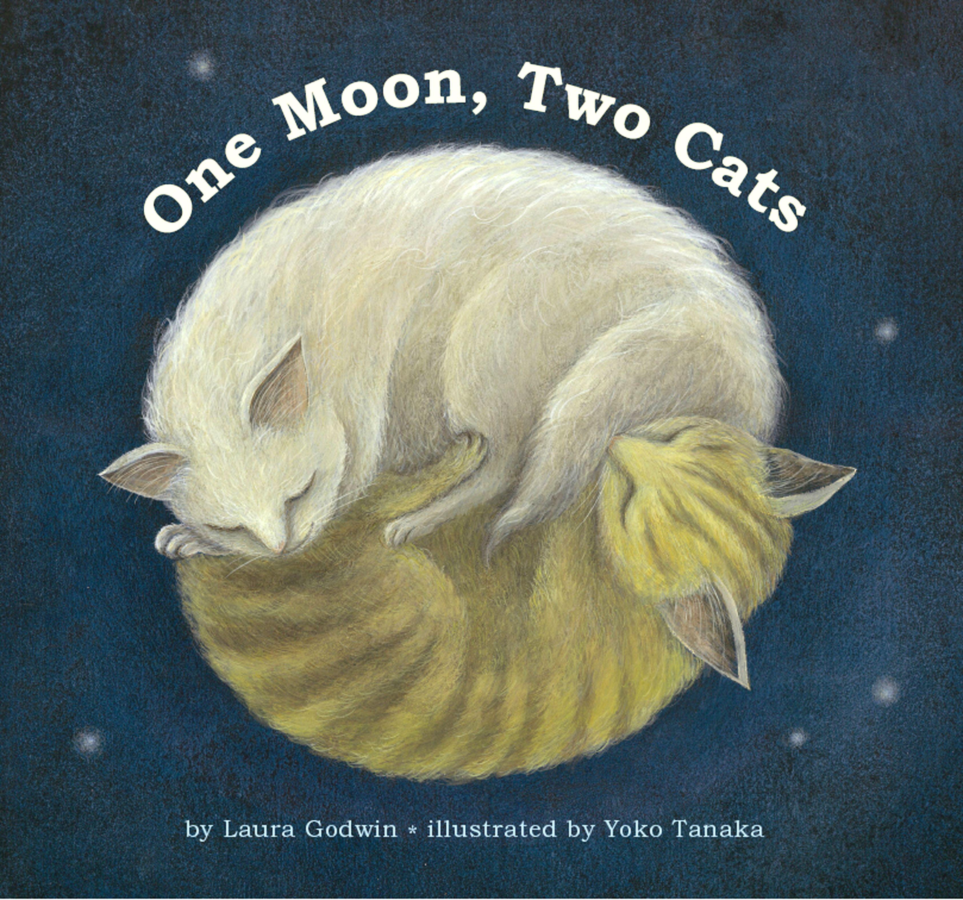 Vorderes Coverbild One Moon, Two Cats
