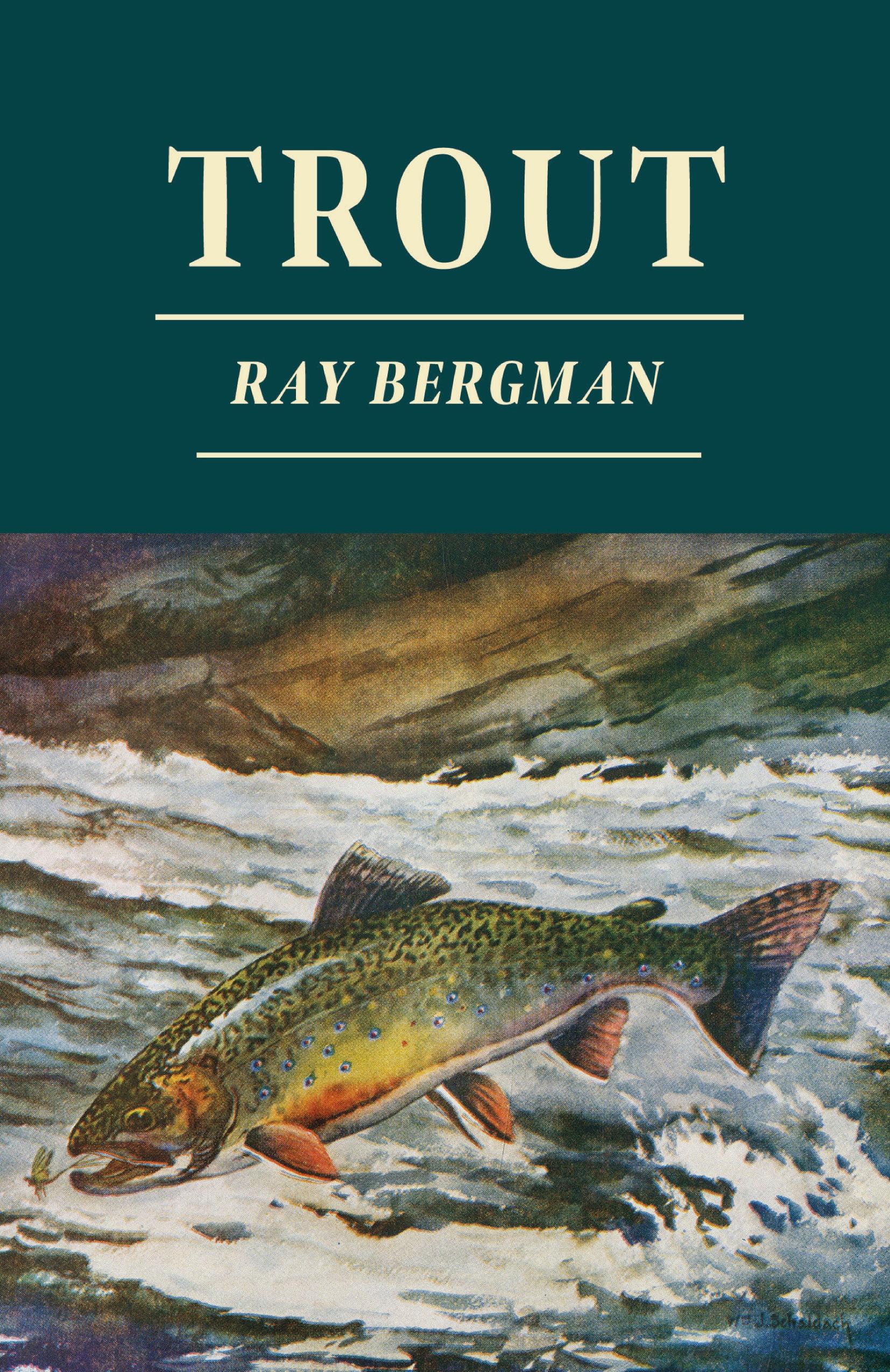 Vorderes Coverbild Trout