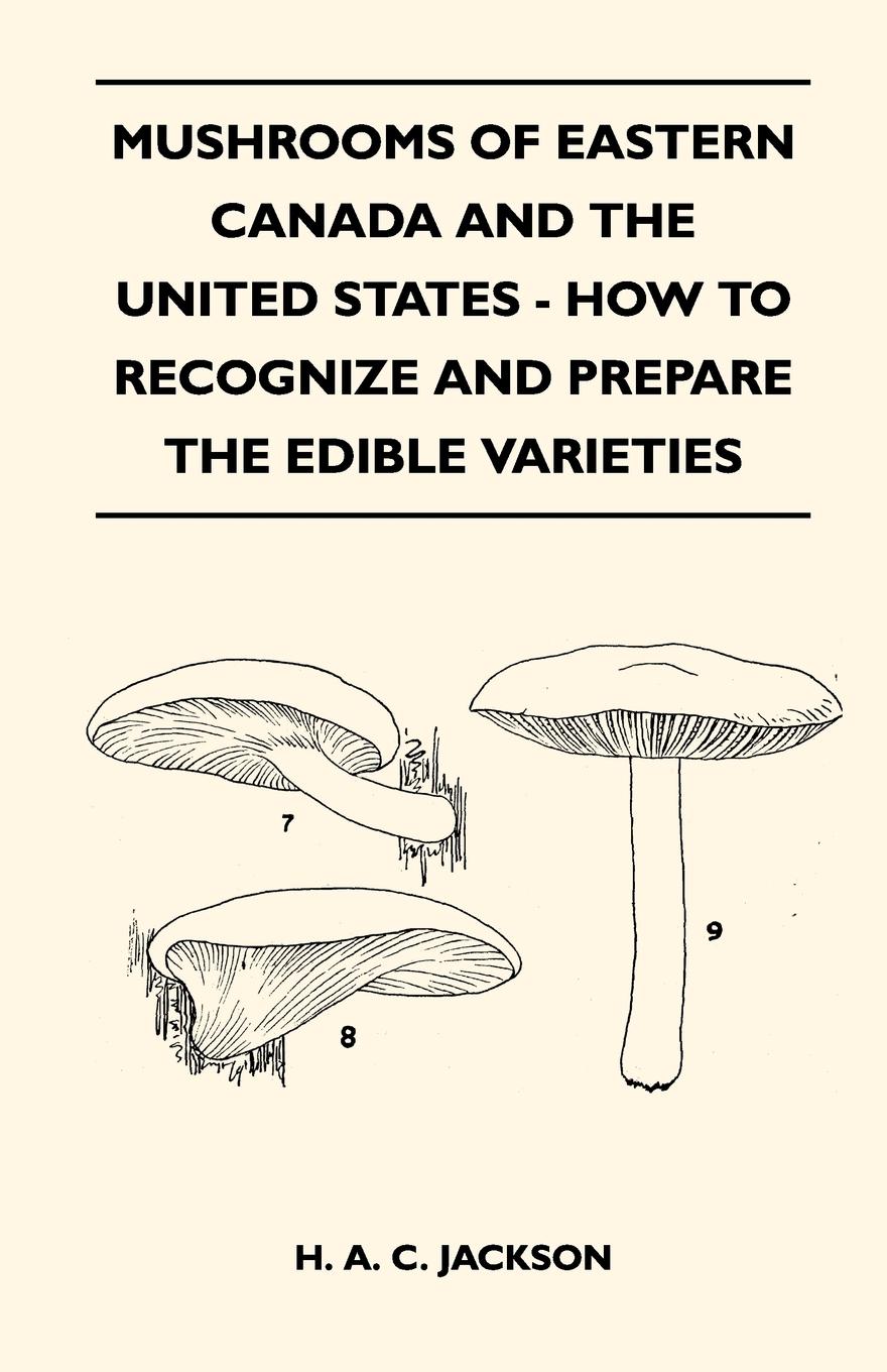 Vorderes Coverbild Mushrooms Of Eastern Canada And The United States - How To Recognize And Prepare The Edible Varieties