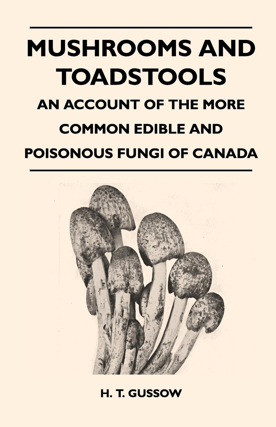 Vorderes Coverbild Mushrooms And Toadstools - An Account Of The More Common Edible And Poisonous Fungi Of Canada