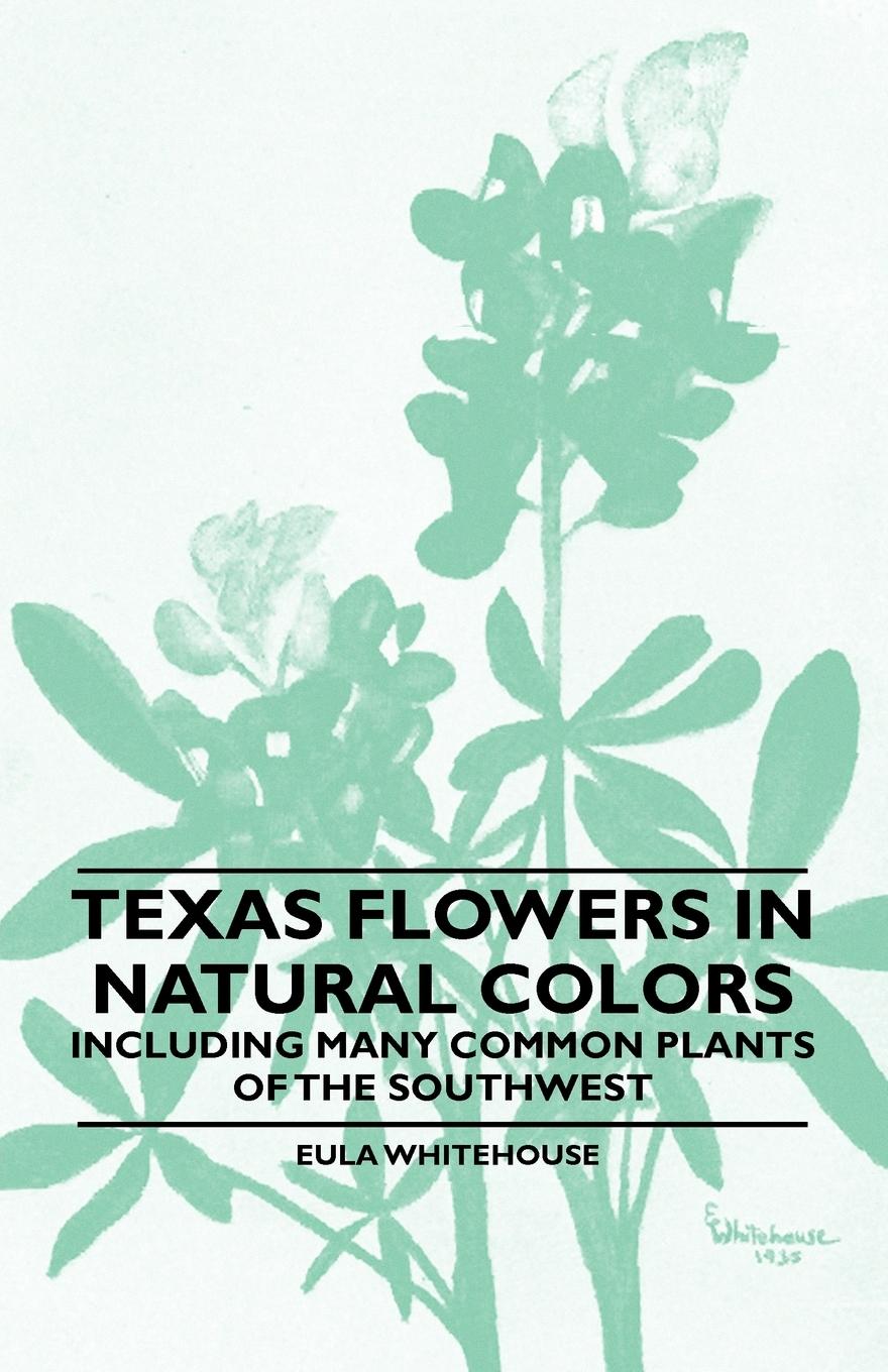 Vorderes Coverbild Texas Flowers in Natural Colors - Including Many Common Plants of the Southwest