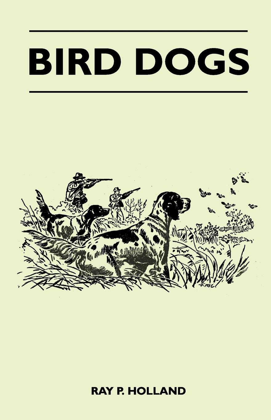 Vorderes Coverbild Bird Dogs