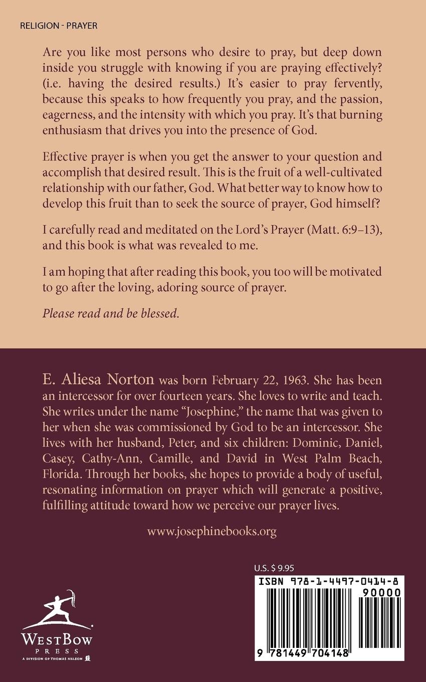 Rückseitencover It Is Not Just a Prayer