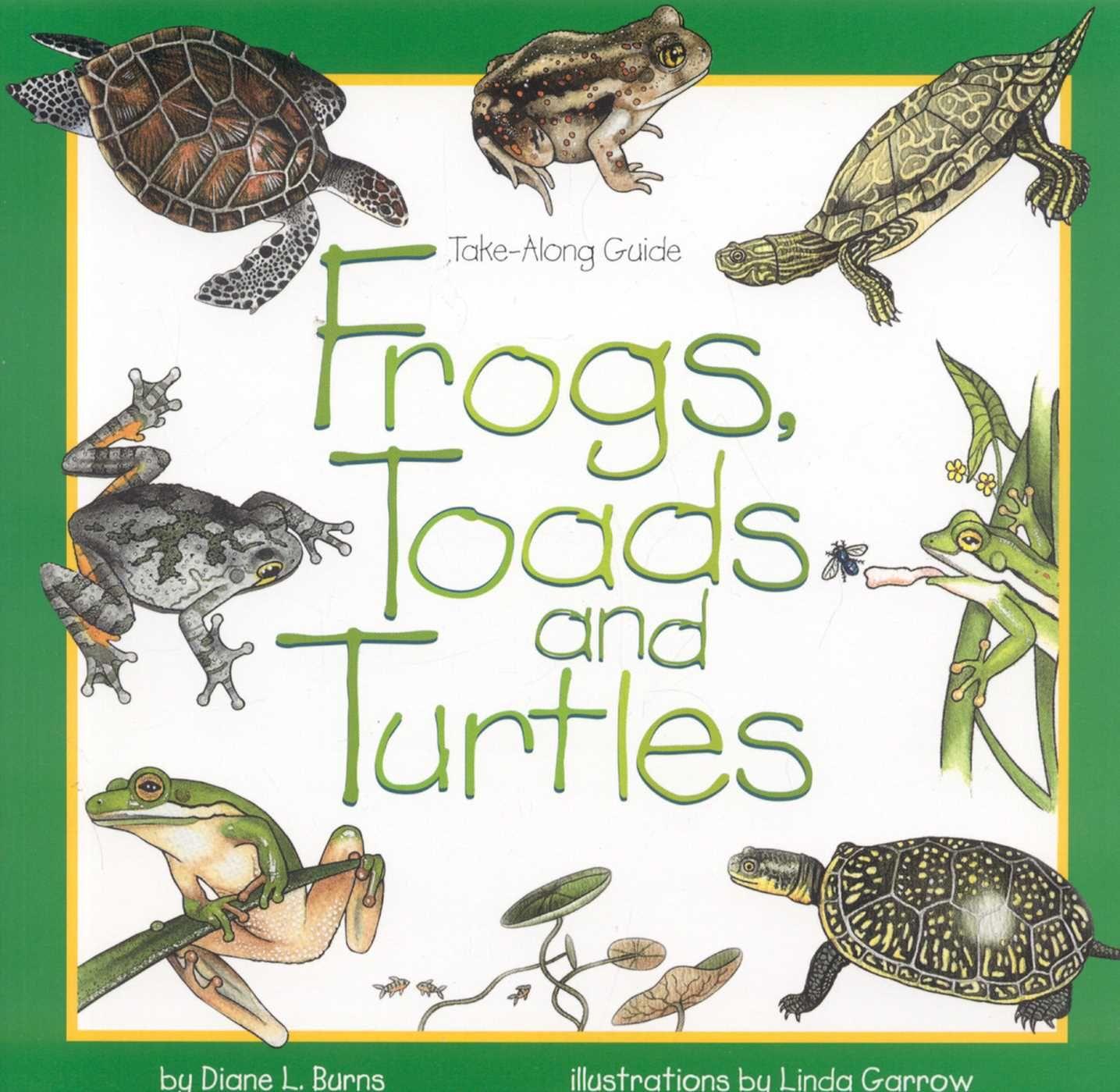 Vorderes Coverbild Frogs, Toads & Turtles