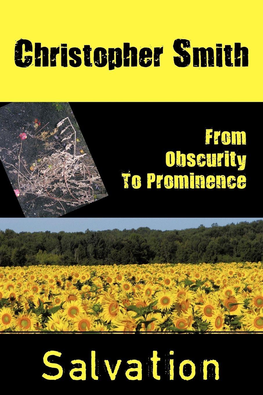 Vorderes Coverbild From Obscurity To Prominence