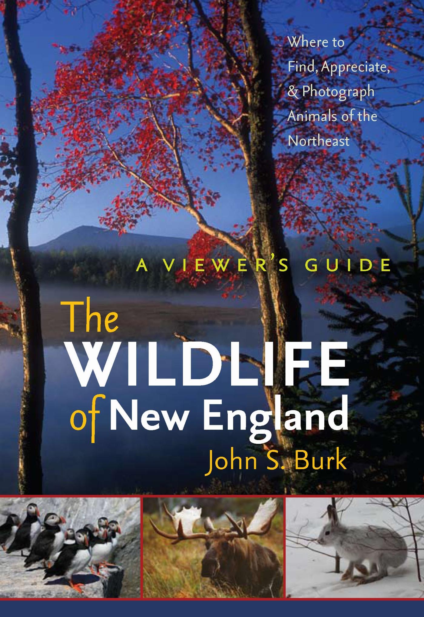 Vorderes Coverbild The Wildlife of New England