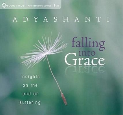 Vorderes Coverbild Falling Into Grace: Insights on the End of Suffering