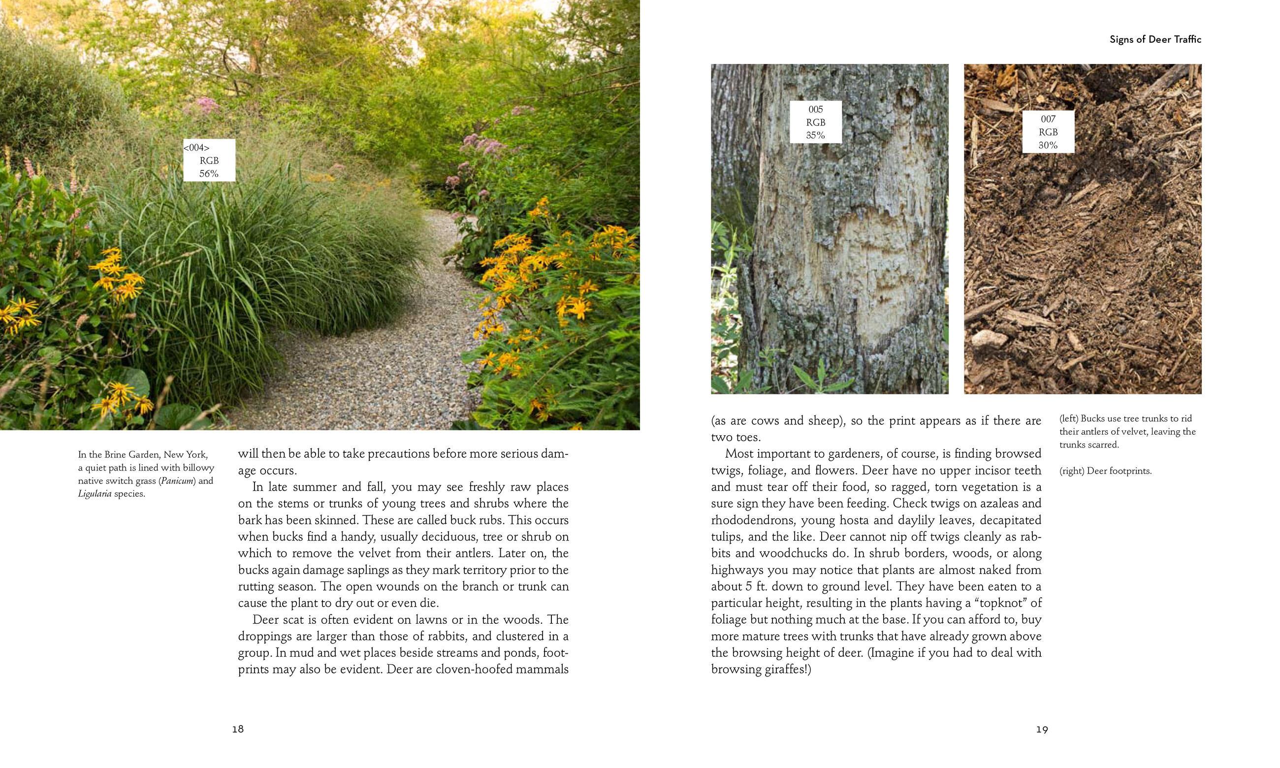 Beispielinhalt (Bild) 50 Beautiful Deer-Resistant Plants