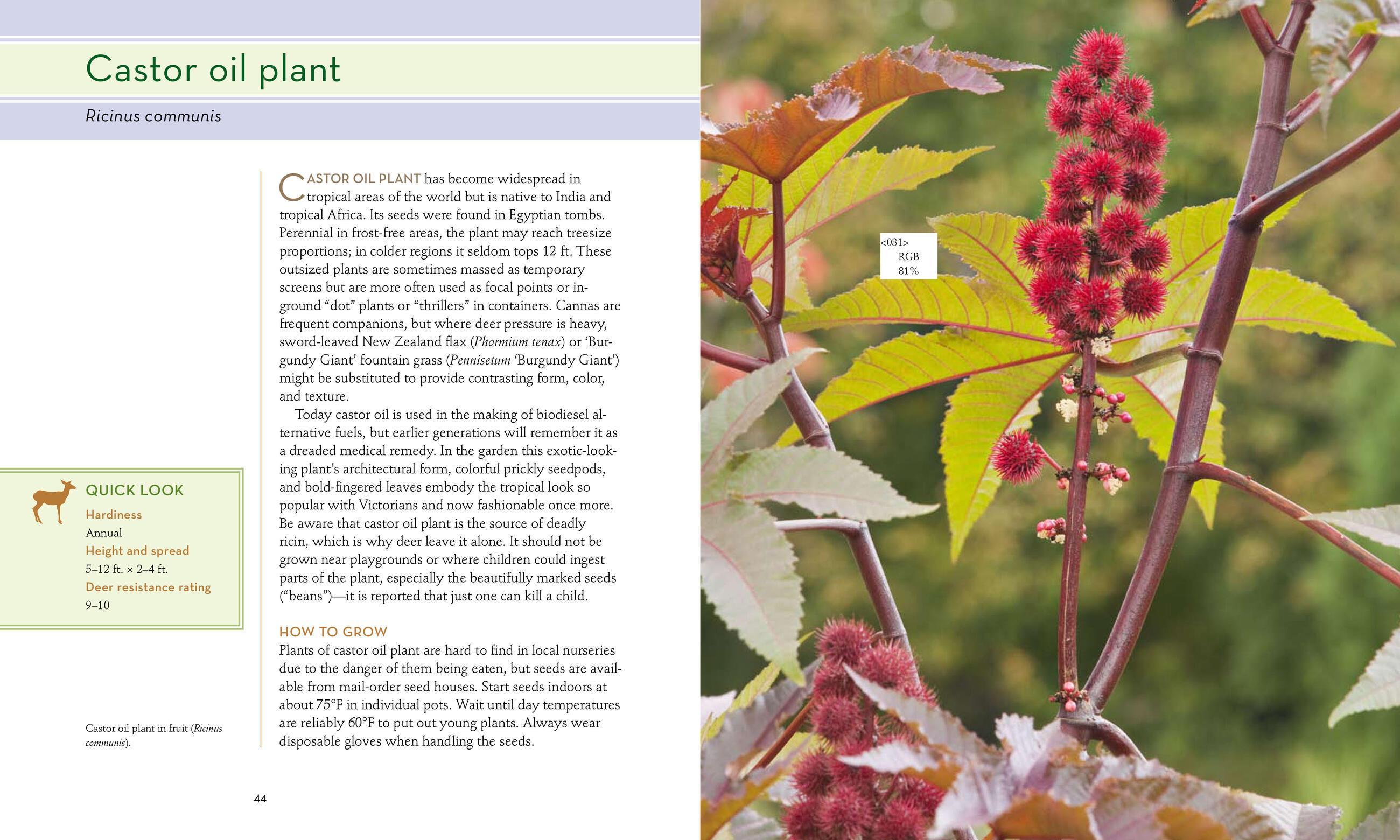 Beispielinhalt (Bild) 50 Beautiful Deer-Resistant Plants