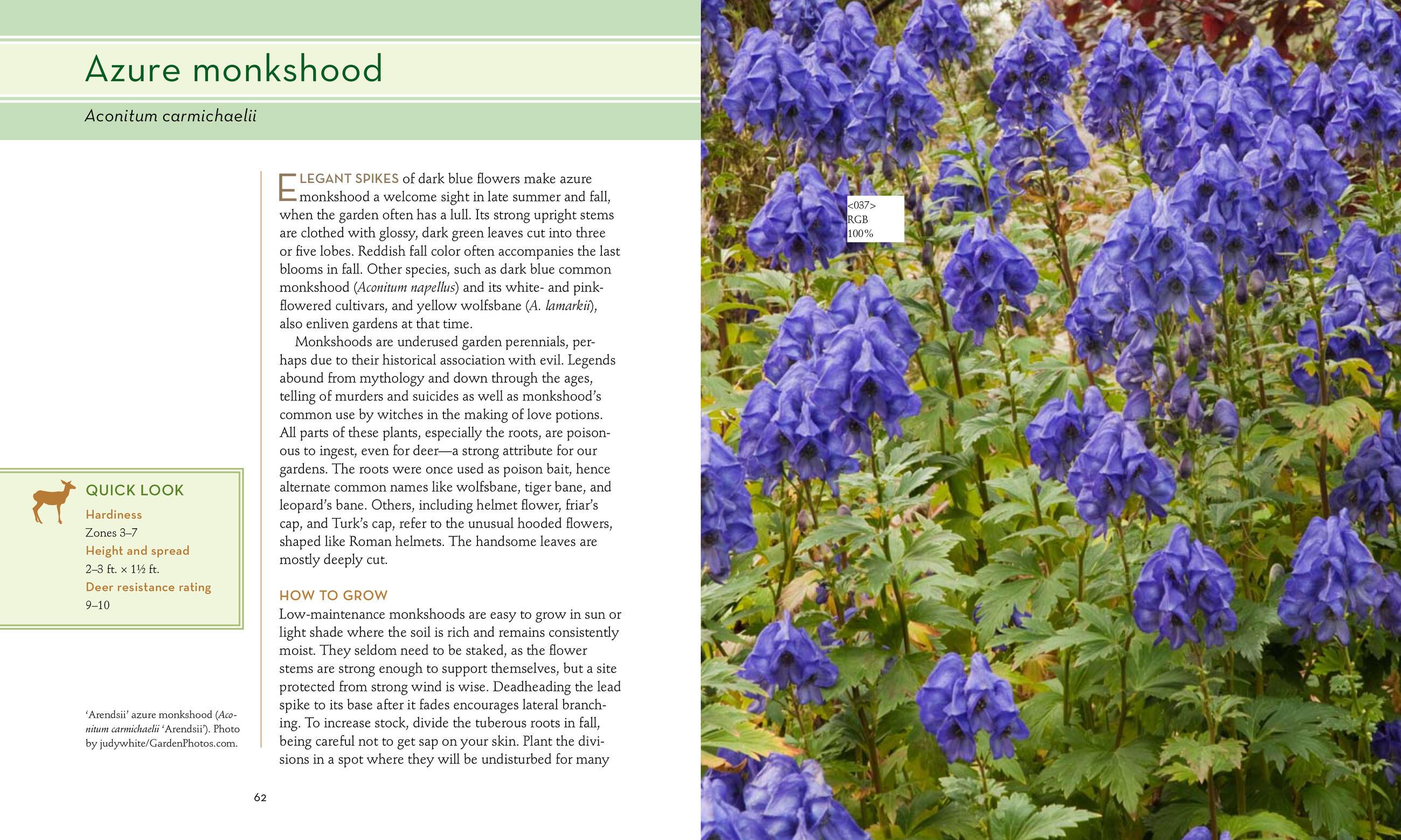 Beispielinhalt (Bild) 50 Beautiful Deer-Resistant Plants