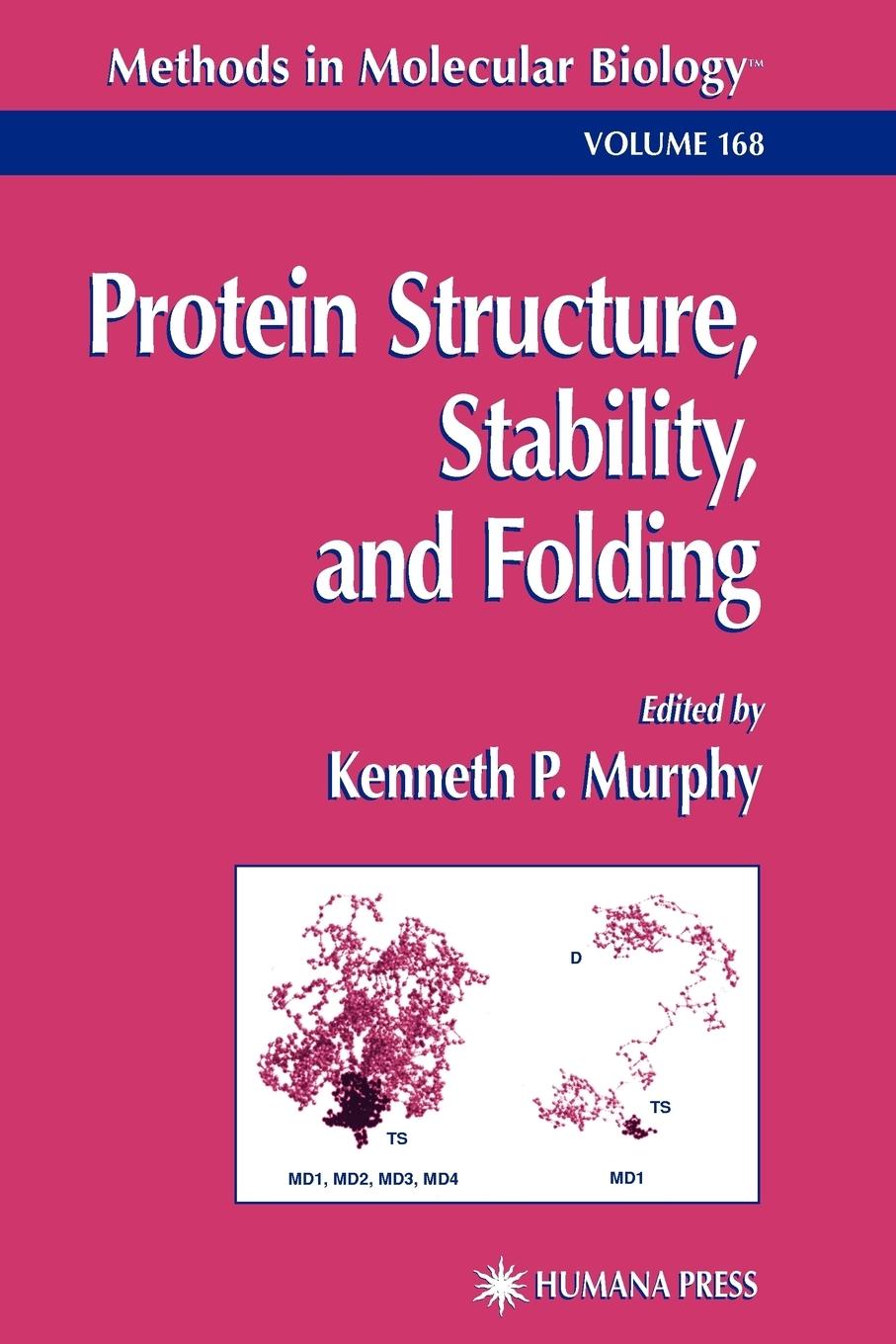 Vorderes Coverbild Protein Structure, Stability, and Folding