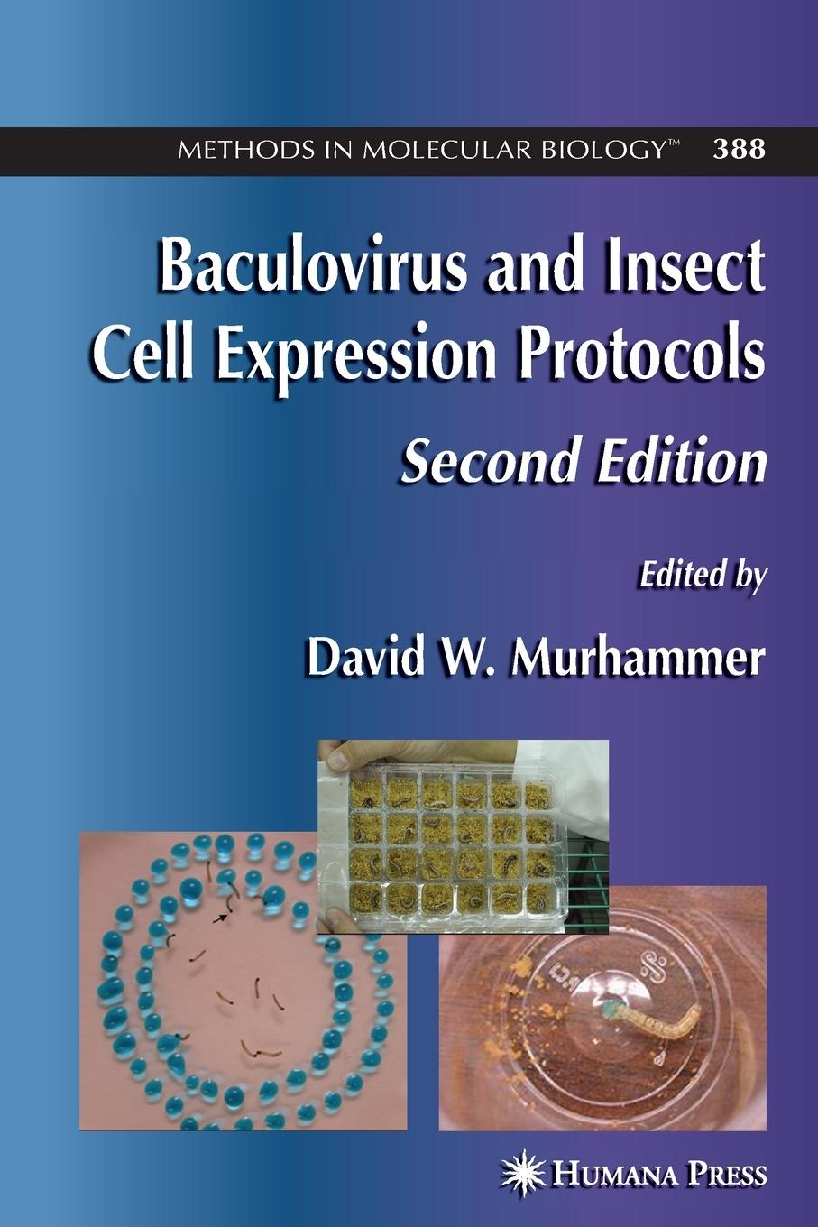 Vorderes Coverbild Baculovirus and Insect Cell Expression Protocols