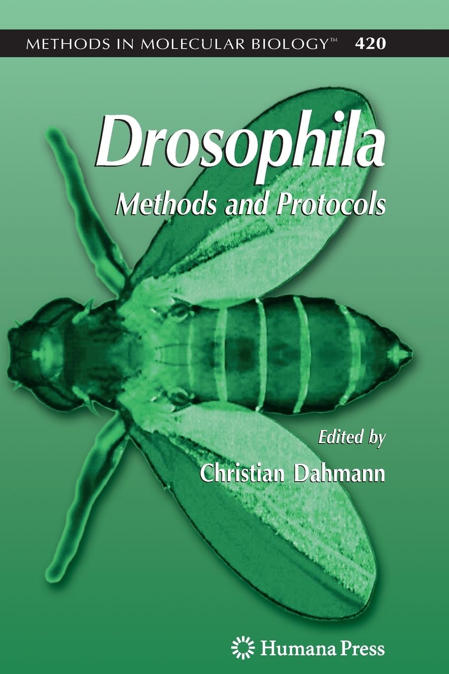 Vorderes Coverbild Drosophila