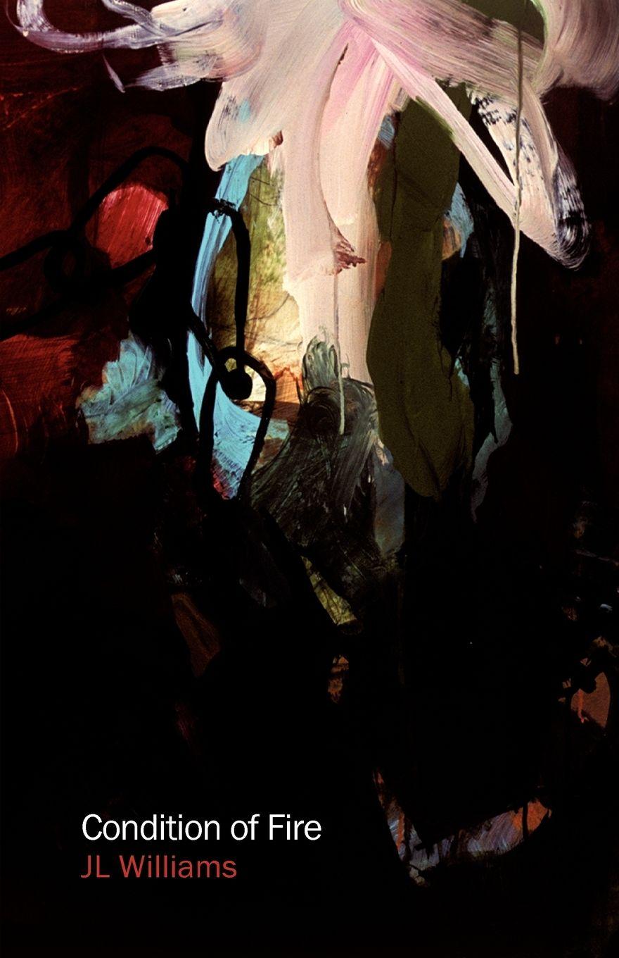 Vorderes Coverbild Condition of Fire