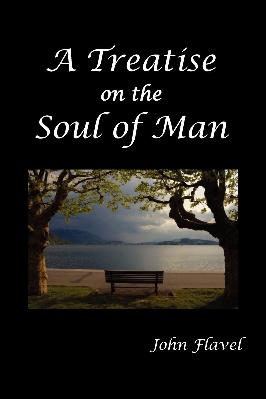 Vorderes Coverbild A Treatise of the Soul of Man