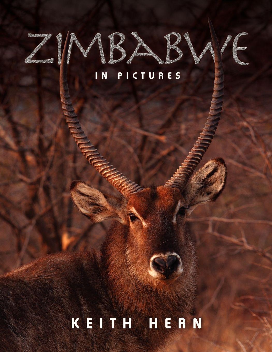 Vorderes Coverbild Zimbabwe in Pictures