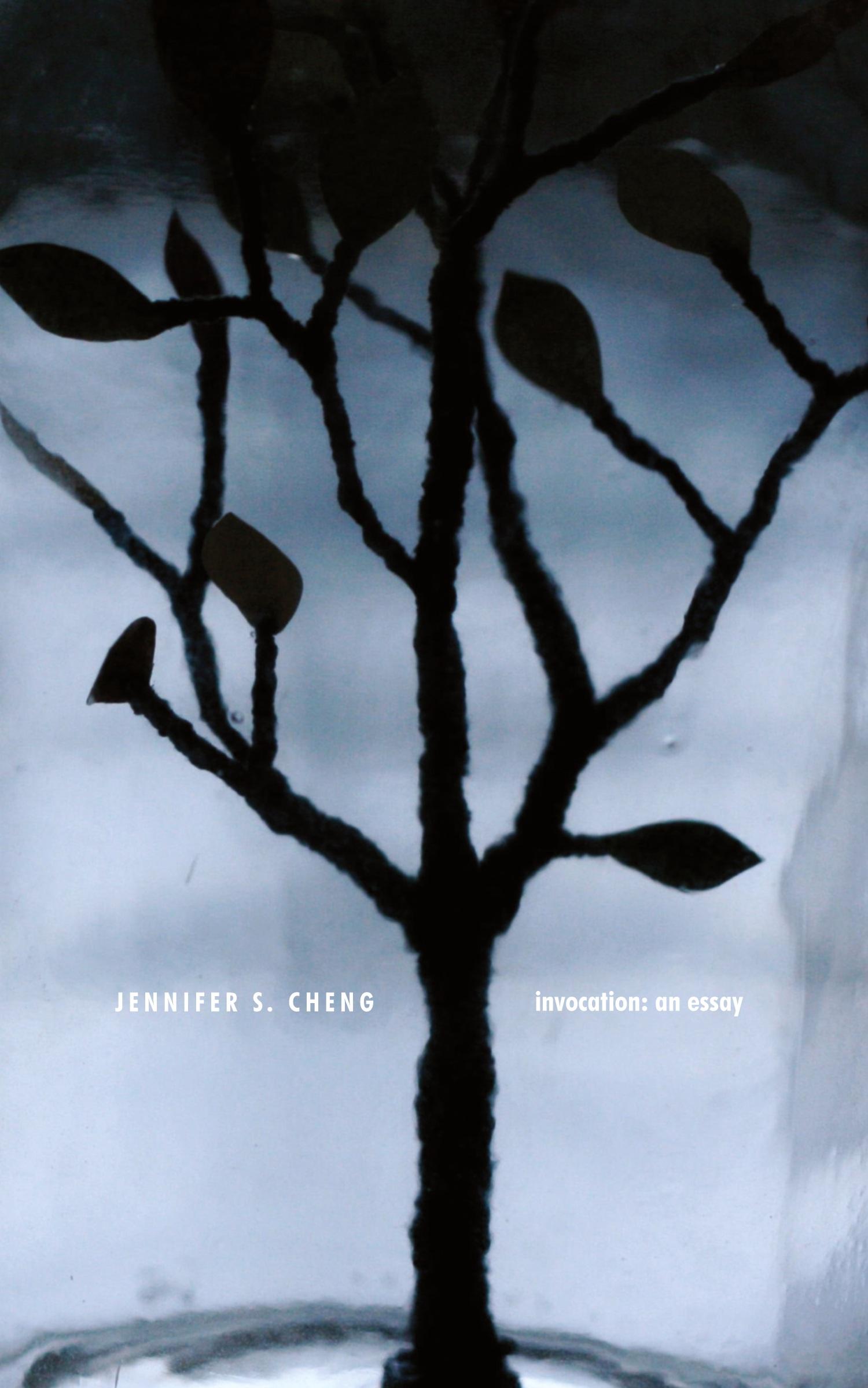 Vorderes Coverbild Invocation