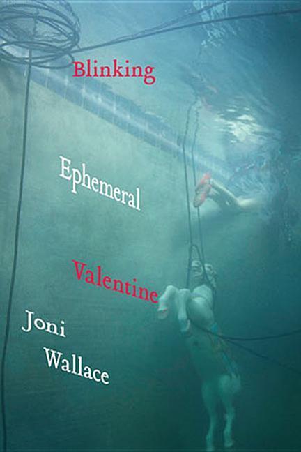 Vorderes Coverbild Blinking Ephemeral Valentine