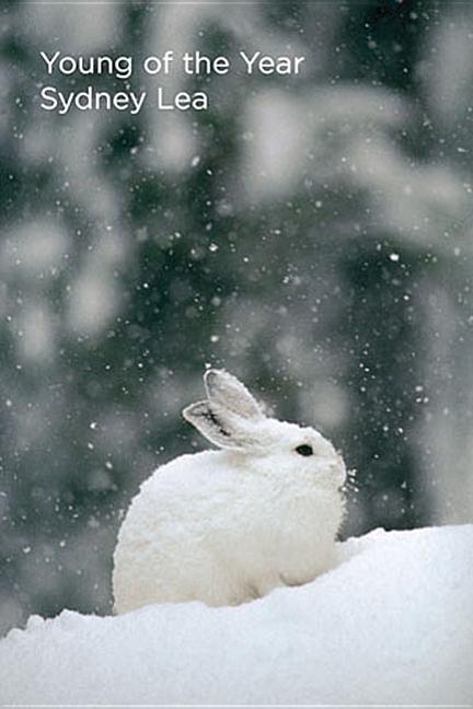 Vorderes Coverbild Young of the Year