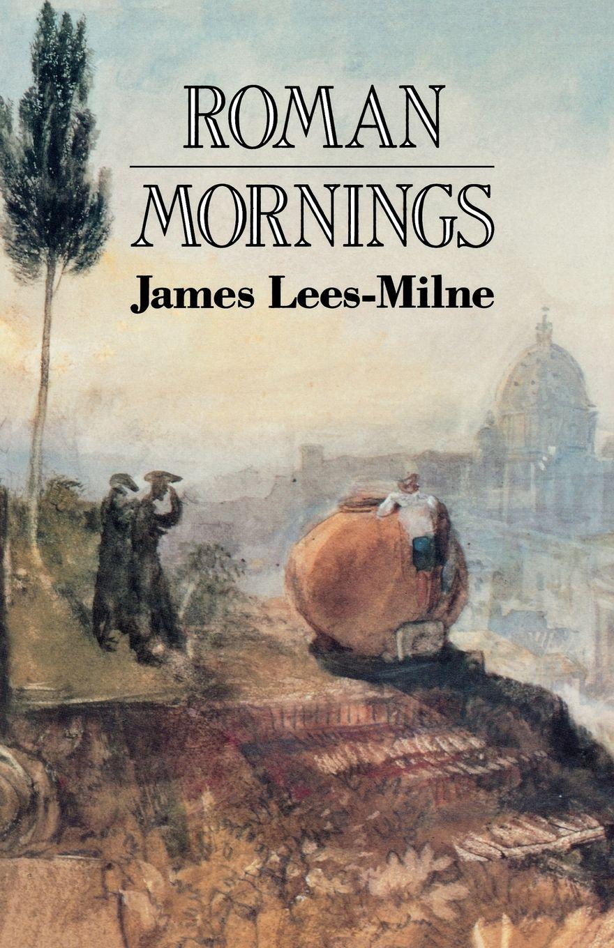 Vorderes Coverbild Roman Mornings