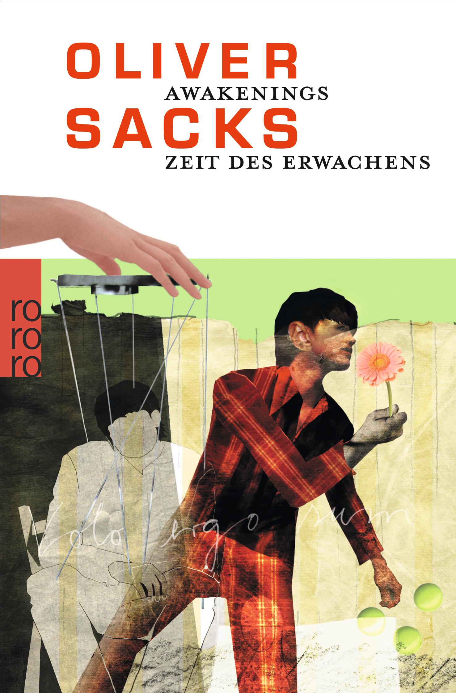 Vorderes Coverbild Awakenings: Zeit des Erwachens