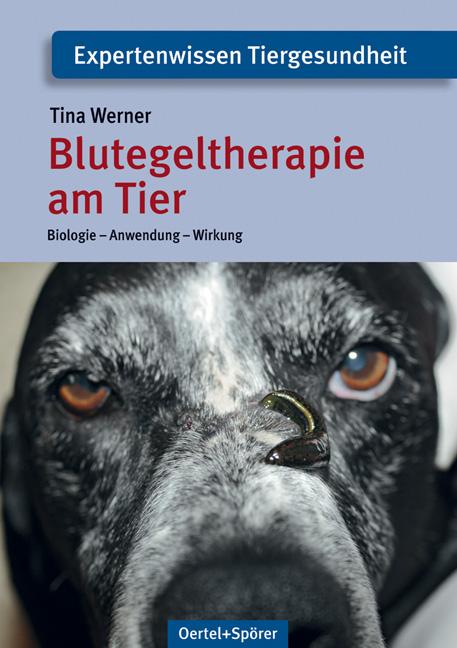 Vorderes Coverbild Blutegeltherapie am Tier