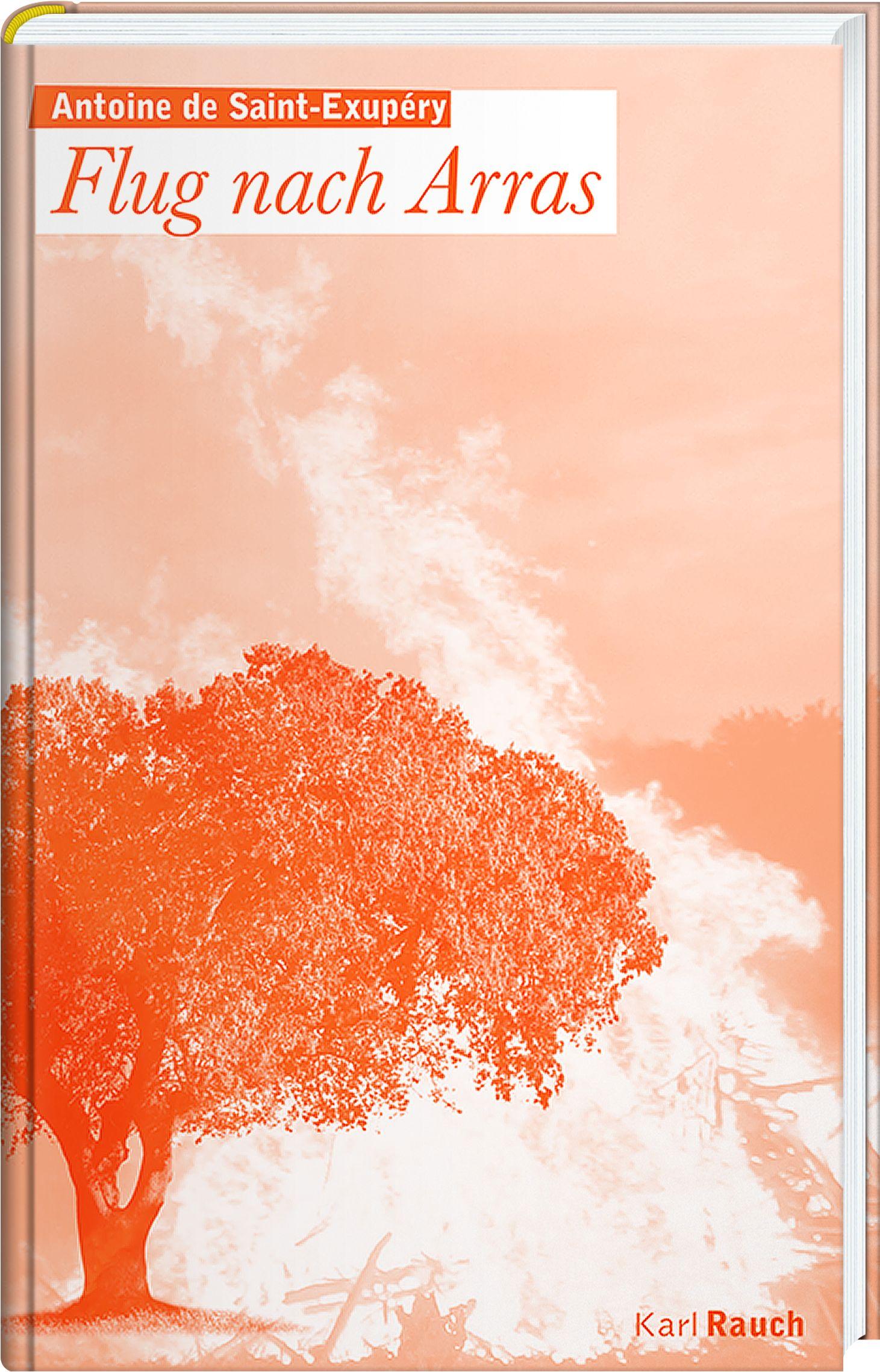 Vorderes Coverbild Flug nach Arras