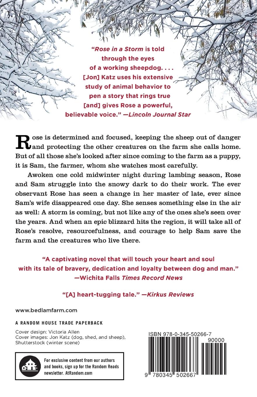 Rückseitencover Rose in a Storm