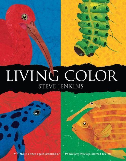 Vorderes Coverbild Living Color