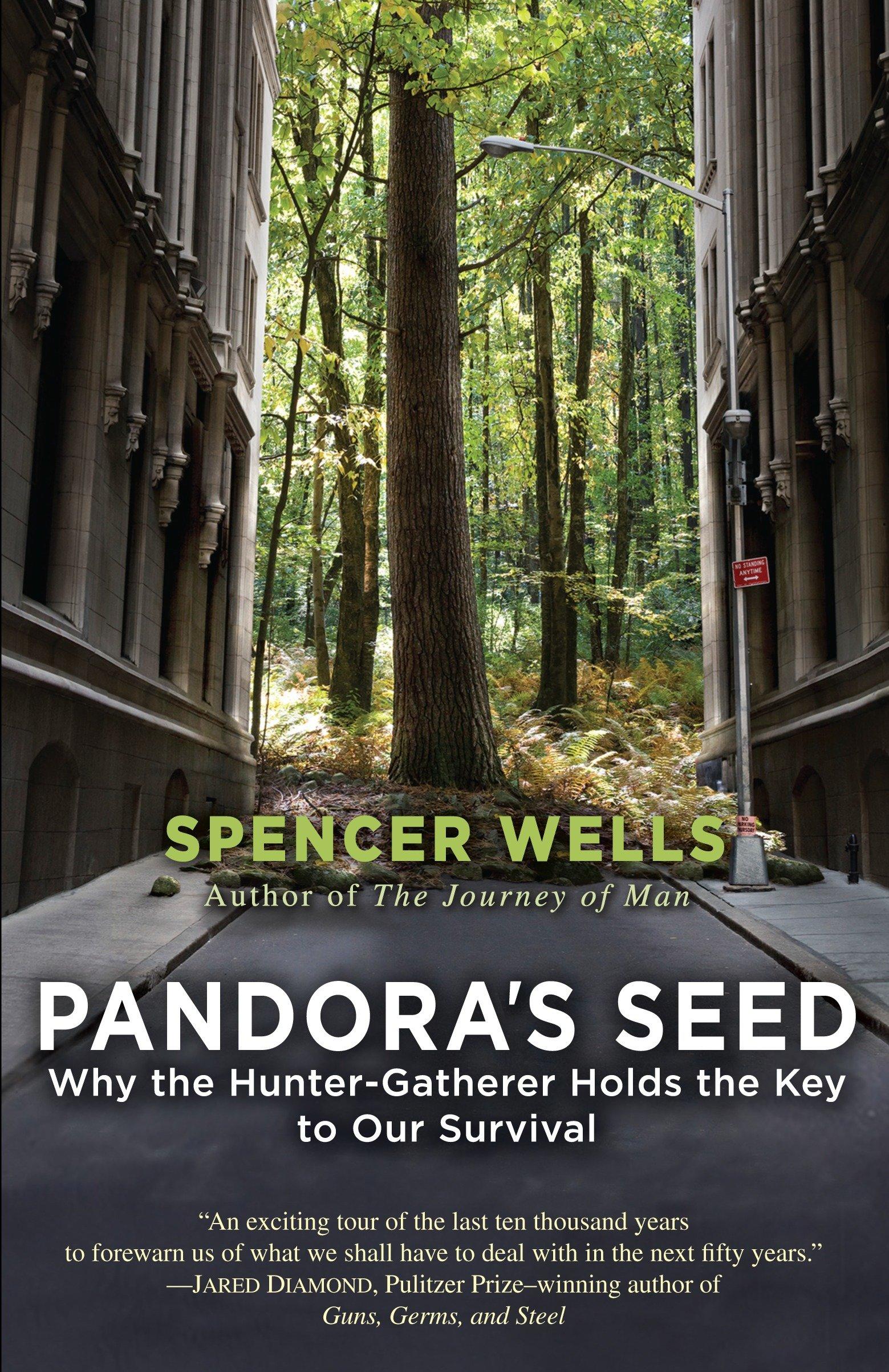Vorderes Coverbild Pandora's Seed