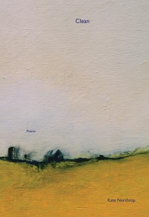 Vorderes Coverbild Clean